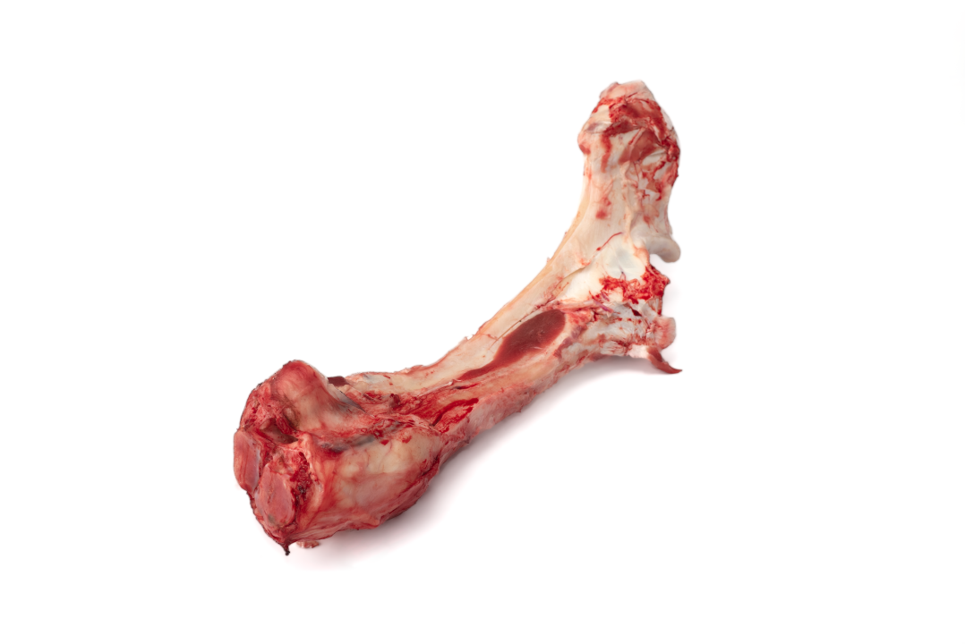 Лучевая кость говяжья с содержанием мышечной, жировой и соединительной тканей 