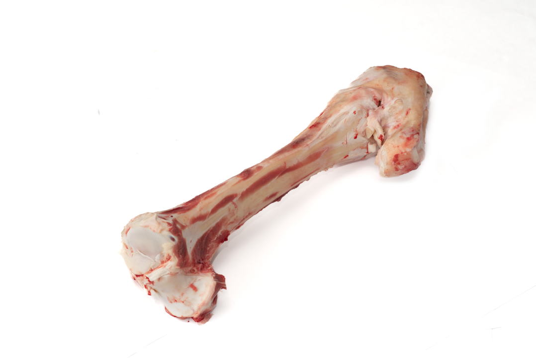 Берцовая кость говяжья с содержанием мышечной, жировой и соединительной тканей