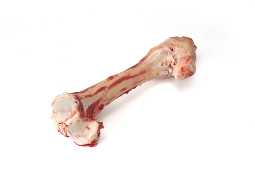 Плечевая кость говяжья с содержанием мышечной, жировой и соединительной тканей